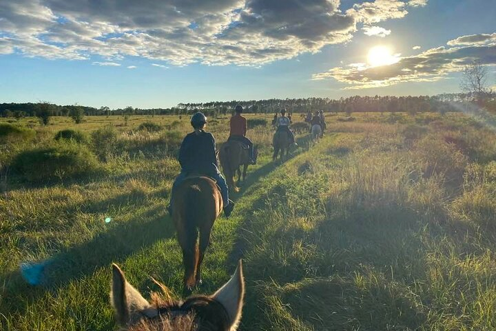 Horseback ride across the grass prairie at Lake Louisa. 